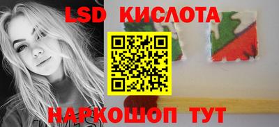 apvp Славгород