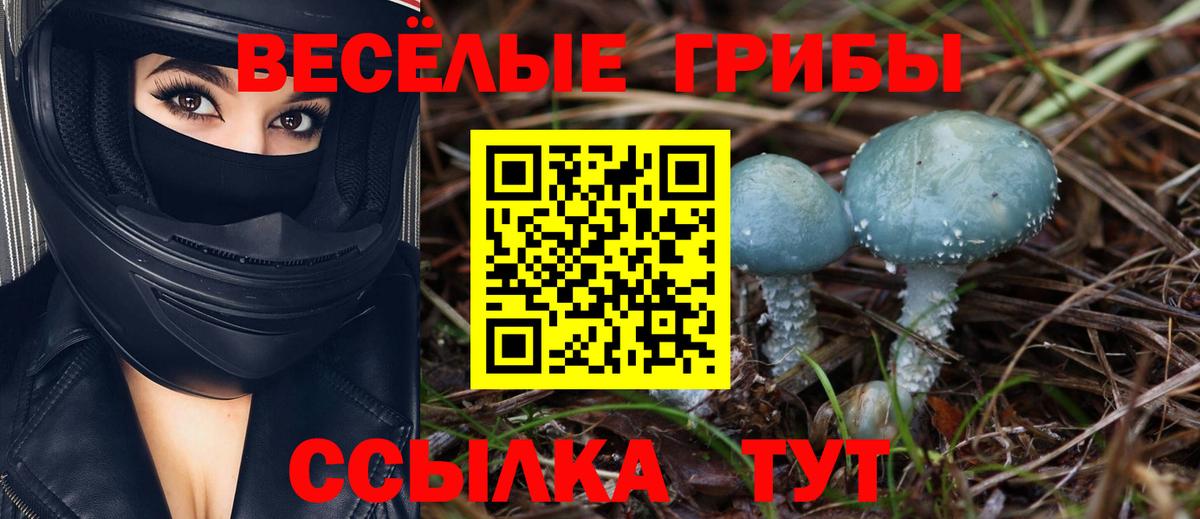 Галлюциногенные грибы Magic Shrooms  Вход с VPN  Псилоцибиновые грибы Magic Shrooms  Санкт-Петербург 