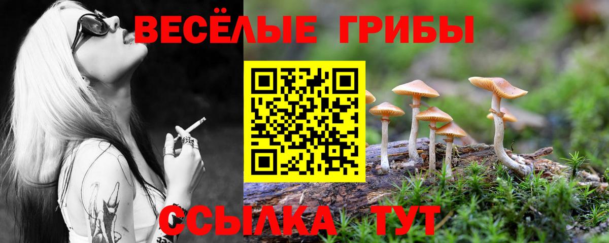 Псилоцибиновые грибы мухоморы Санкт-Петербург